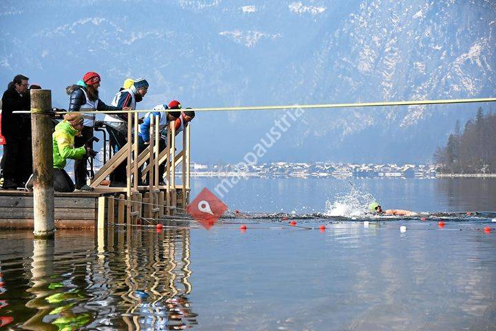 1. ICE Swimming Hallstättersee