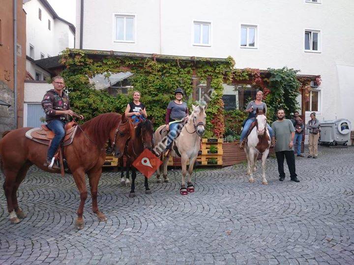 1. Westernreitverein Mühlviertel