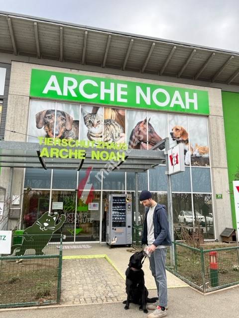 Aktiver Tierschutz Austria - Arche Noah