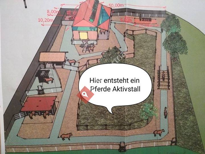 Aktivstall Weiss - Wellness für Pferde