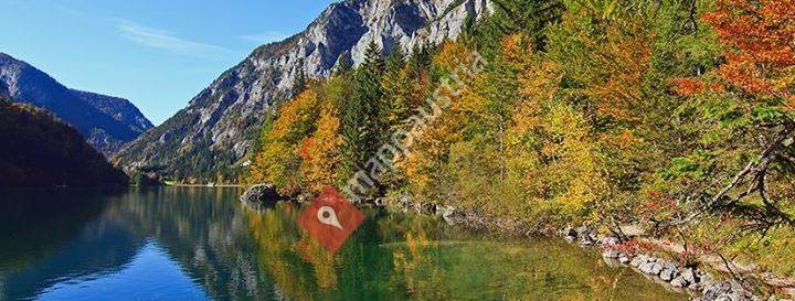 Appartements Pircher