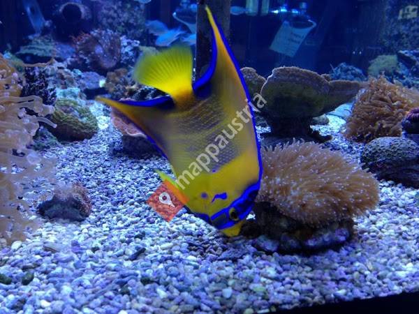 Aquaworld Nussbaumer