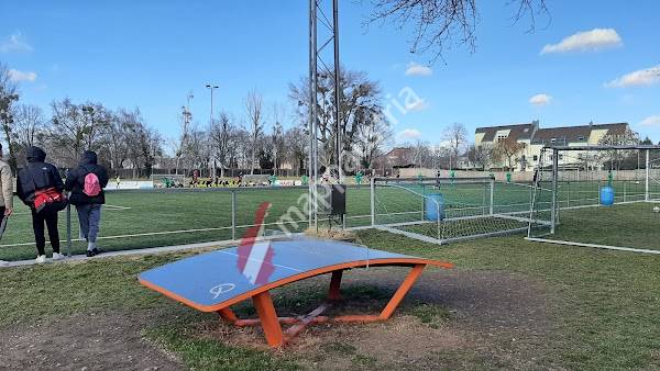Aspern Sportplatz