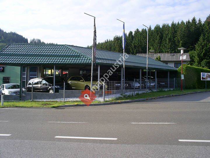 Automobile Forst