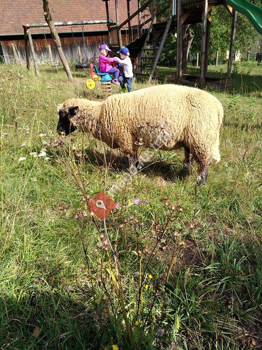 Bauernhof Mahr-Schadn