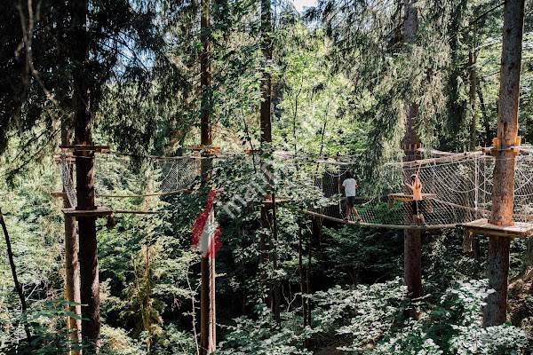 Baumparcours