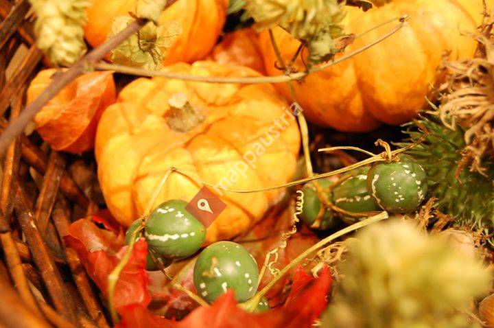 Belinda Ortmans spielen leben schenken