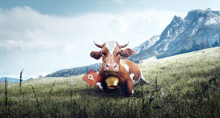 Bergbauernhof Tromört