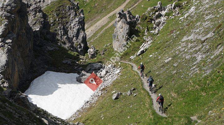 Bikeschule & Schneesportschule Alpstern