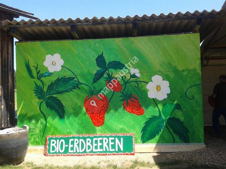 BIO Erdbeergarten Muschk
