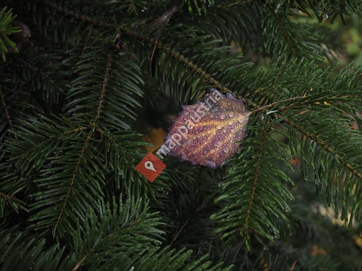 Biohof Familie Hackl