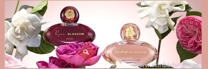 Birgit JAFRA Beratung