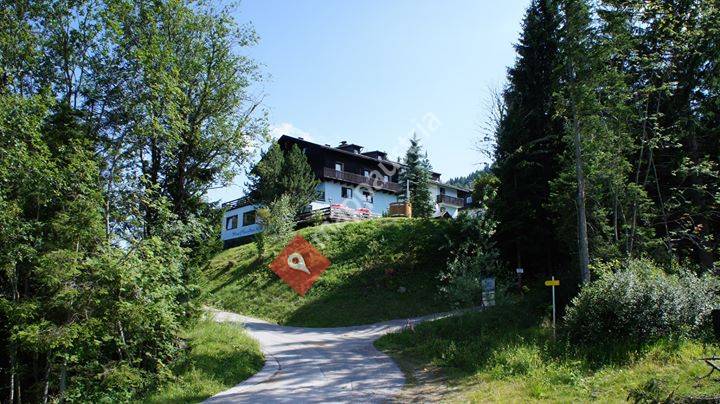 Blue Mountain Hotel