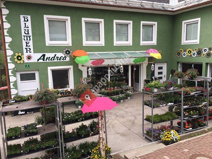 Blumen Andrea