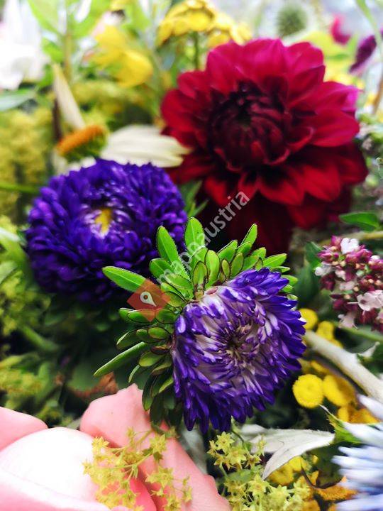 Blumenboutique Stefanie