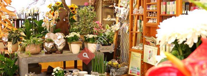 Blumenecke Stangl