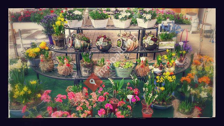 Blumenmarkt Mitterdorf