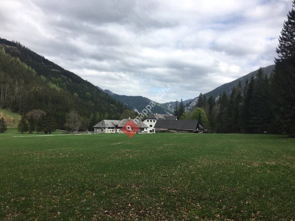 Bodenbauer Alpenhotel