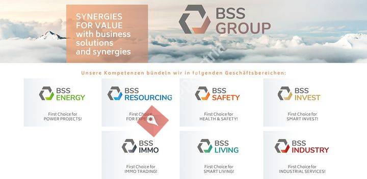 BSS-Group