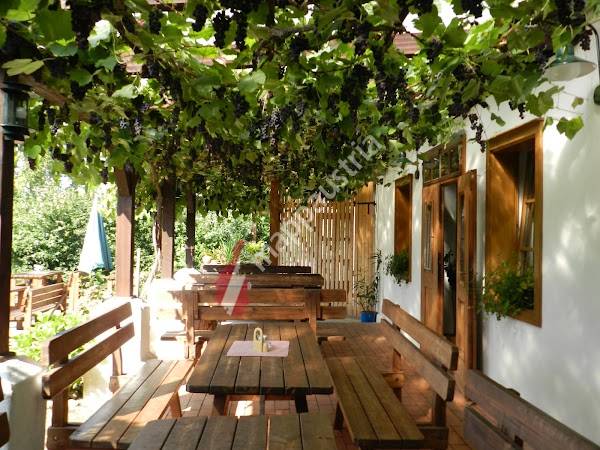 BUSCHENSCHANK Markowitsch