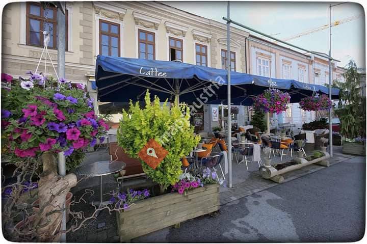 Café Fenz