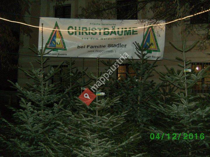 Christbaumverkauf Stadler