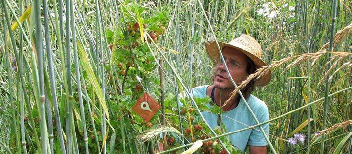 Christoff Schneider & Team Permakulturschule Permaculture-School