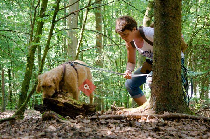 Crazy-Dog-Fred Wild Walks