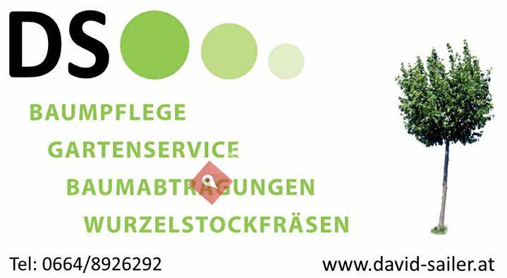 David Sailer Baum- und Gartenservice