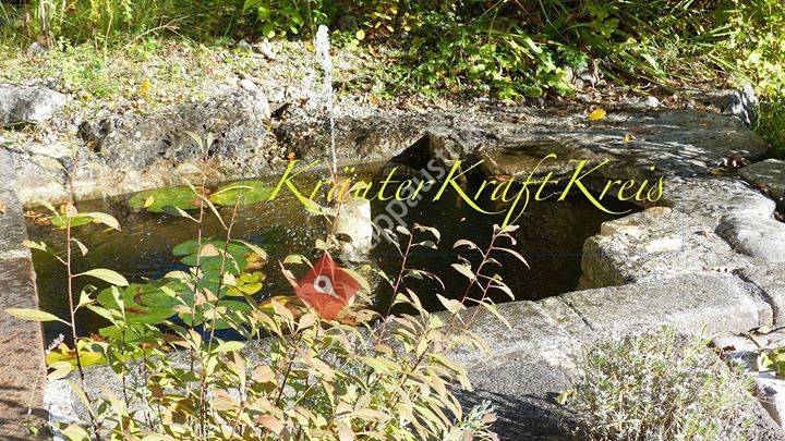 Der Kräuterkraftkreis
