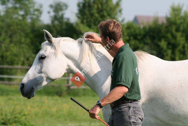 Equus - Mensch und Pferd