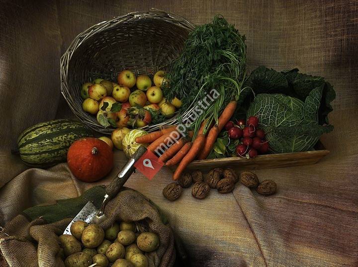 Essen fürs Leben, Ernährungsmedizinische Beratung und Therapie