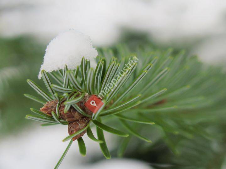 Familienbetrieb Barbara und Stefan Müllner