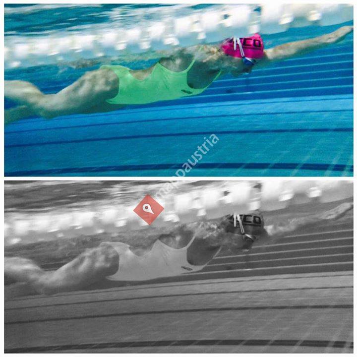 Faszination Schwimmen - Gebauer Erika
