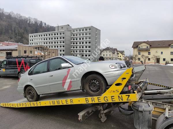 Feldkirch Auto-Verladung
