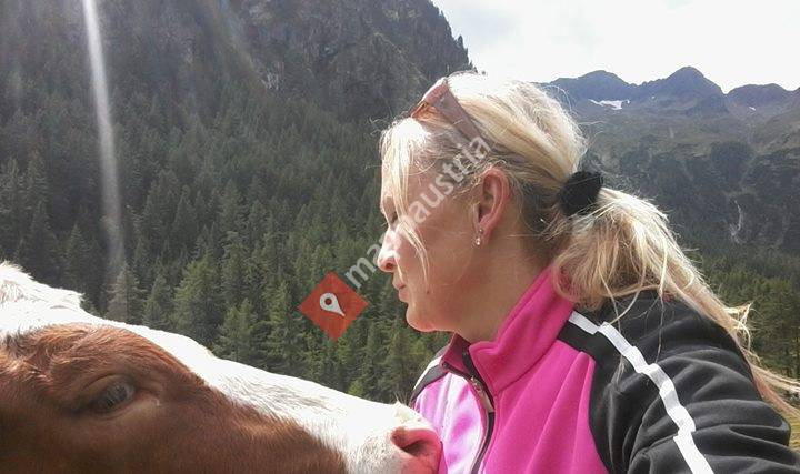 Ferienbauernhof Handl