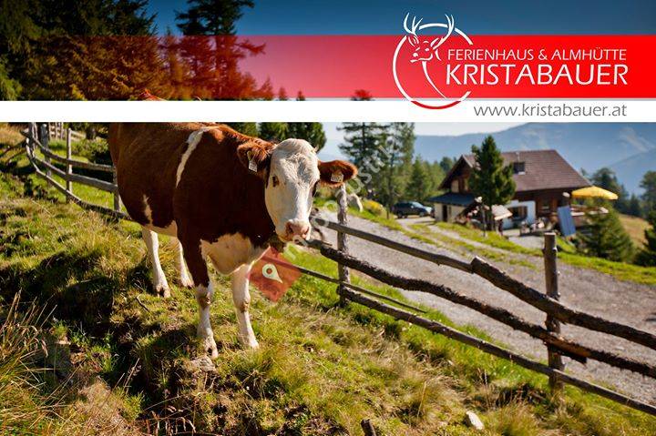 Ferienhaus & Almhütte Kristabauer