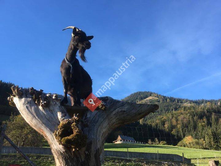 Ferienhütte Bergbauer