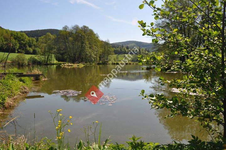 Fischzucht Spratzau