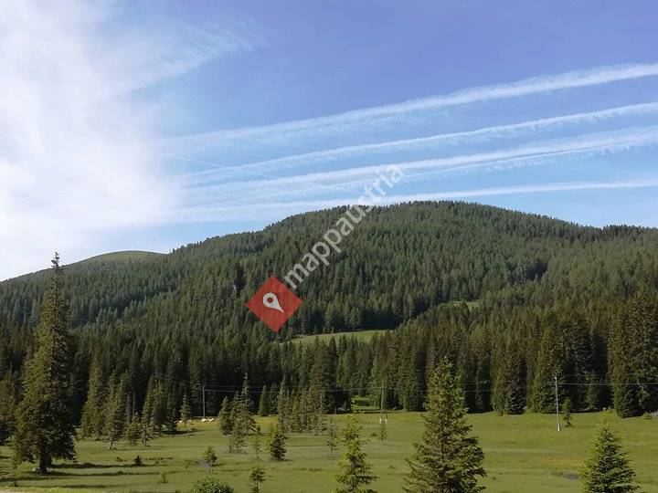 Flattnitzer Stube