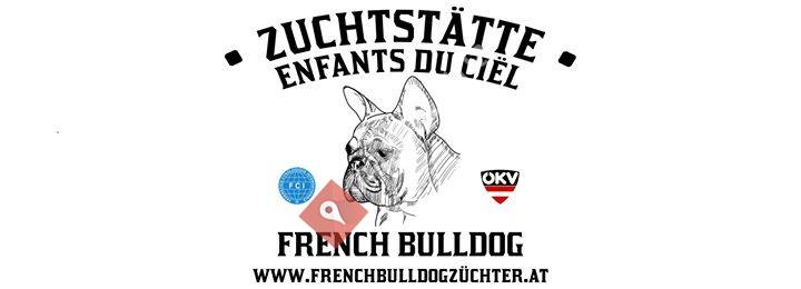 French Bulldog - Enfants du Ciel