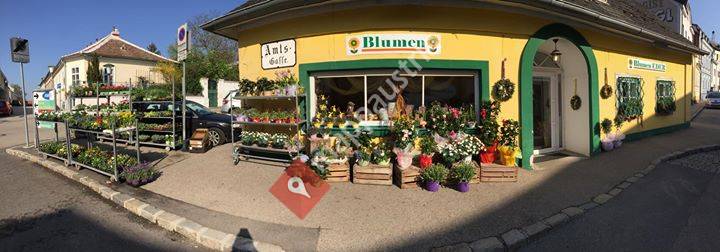 Gärtnerei Eder / Blumen Eder