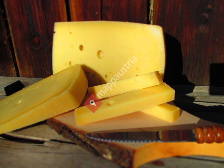 Gailtaler Almkäse und Käsespezialitäten von der Straniger Alm