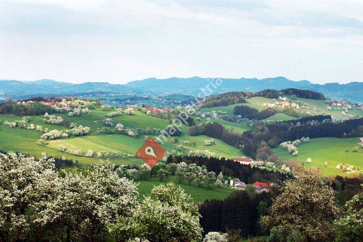 Gasthaus Graf