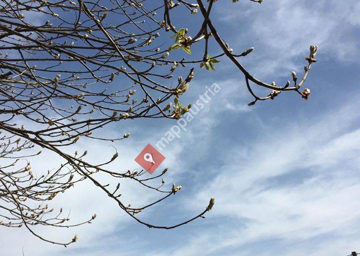 Gasthaus Kirchenwirt Leitner Taiskirchen