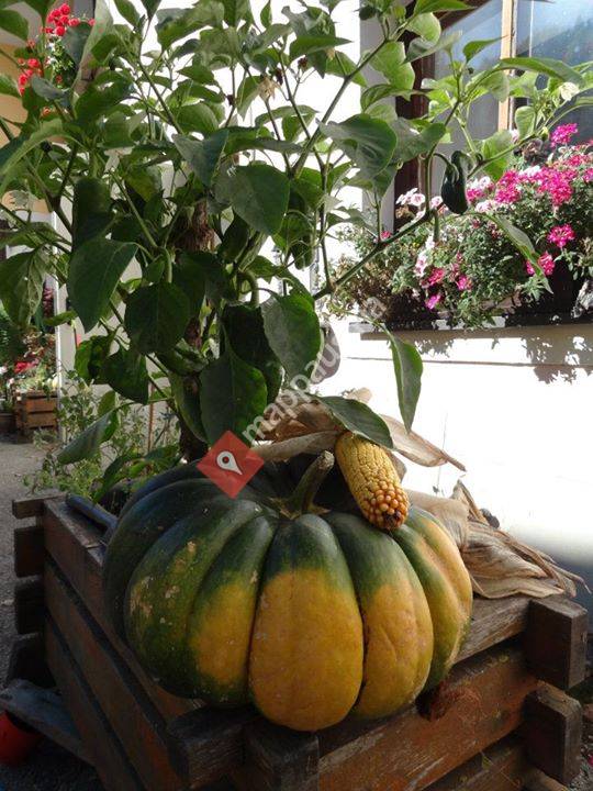 Gasthof Eschau Palfau