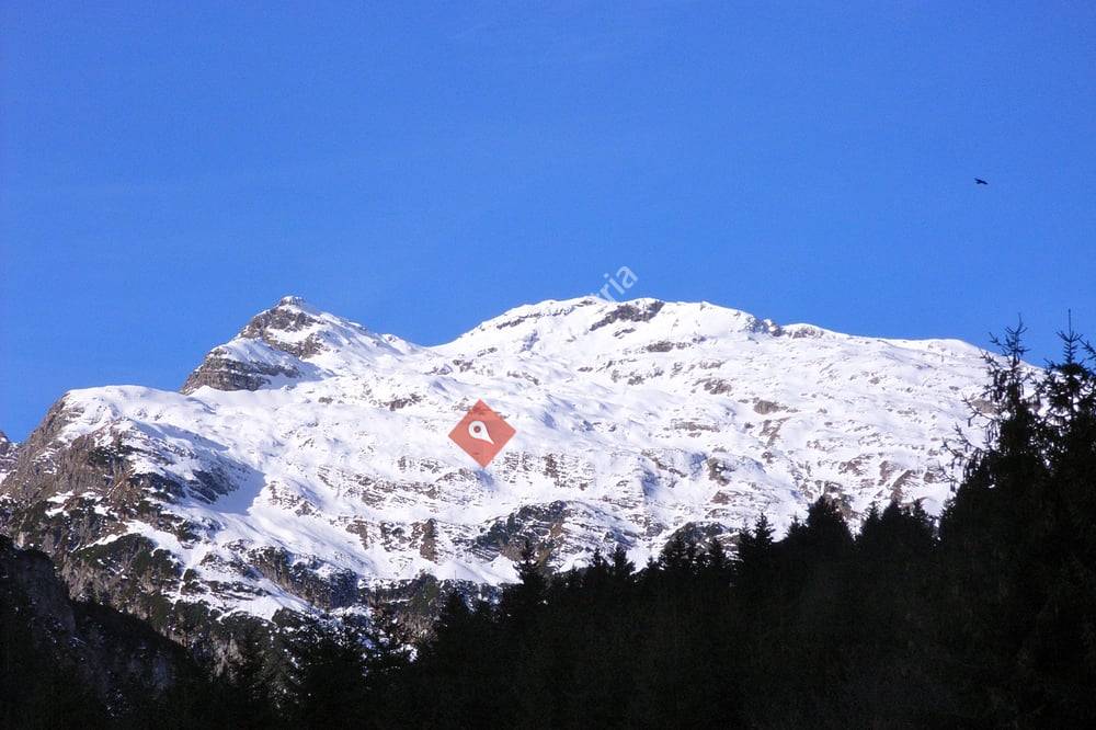 Gasthof Hochvogel