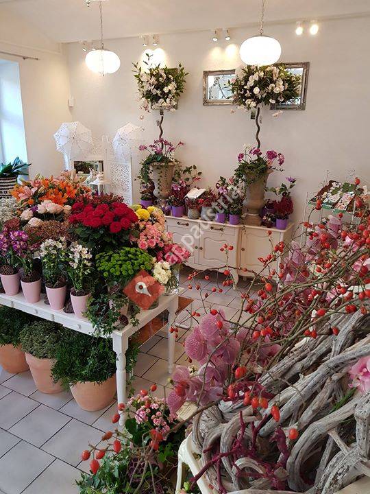 Gersthof, Wien, Austria