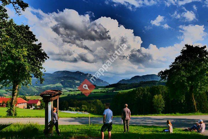 Hallerwald Erholung.Kraft.Weitblick