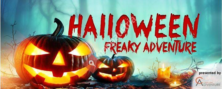 Halloween - freaky adventure